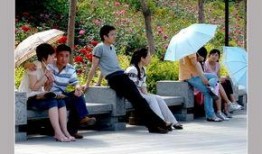 伞中情在线观看,揭秘神秘特工的惊险冒险之旅