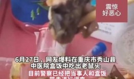 吃出老鼠头的爆料视频大全,吃出老鼠头事件视频大盘点